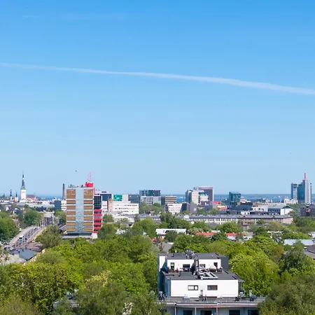 Revalia Vektor Fantastic View