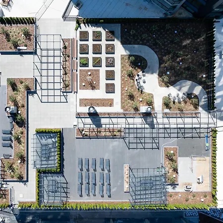 Revalia Vektor Fantastic View *