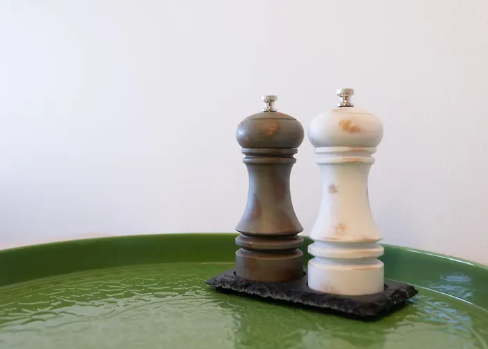 Revalia Vektor Fantastic View * 塔林