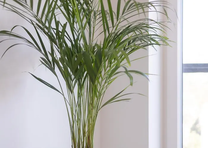 Revalia Vektor Fantastic View Ταλίν