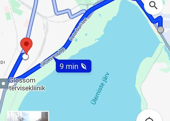 Revalia Vektor Fantastic View