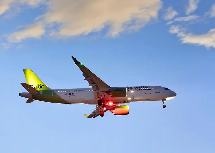 Revalia Vektor Fantastic View